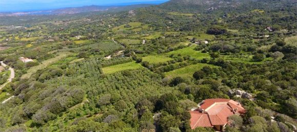 5 bedrooms Villa in Palau, Italy No. 19384 31