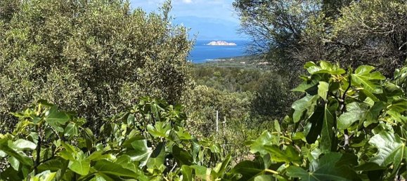 5 bedrooms Villa in Palau, Italy No. 19384 29