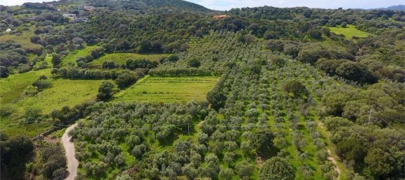 5 bedrooms Villa in Palau, Italy No. 19384 28