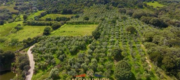 5 bedrooms Villa in Palau, Italy No. 19384 32