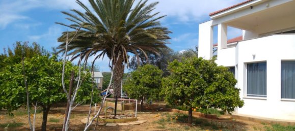 3 Schlafzimmer Villa in Limassol, Cyprus, Nr. 1798 7