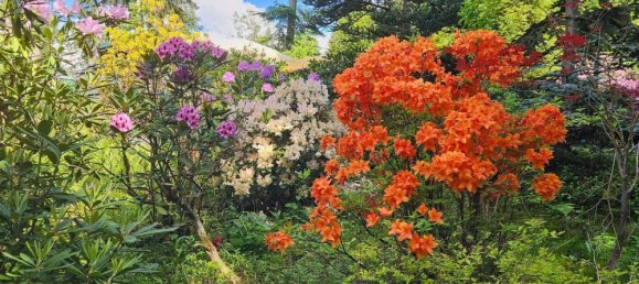  Land in Saalfeld-Rudolstadt, Germany No. 162513 12