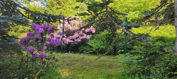  Land in Saalfeld-Rudolstadt, Germany No. 162513 11