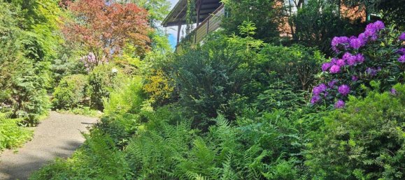  Land in Saalfeld-Rudolstadt, Germany No. 162513 9