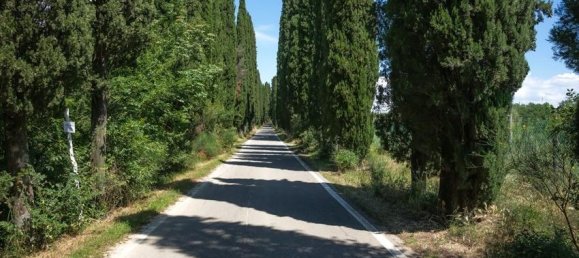 6 rooms Villa in Peccioli, Italy No. 155249 7