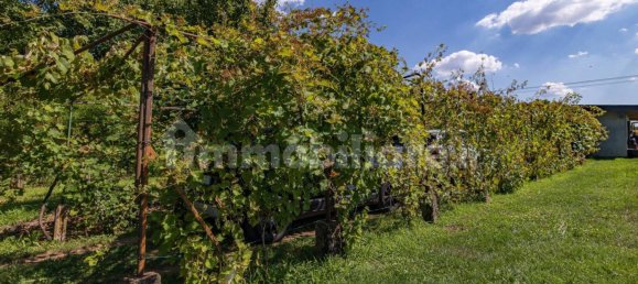 5-Zimmer Hotel in Cislago, Italy, Nr. 307840 39