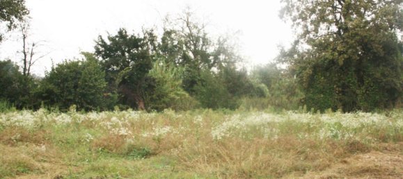 Casa de 6 habitaciónes en Terruggia, Italy No. 220265 15
