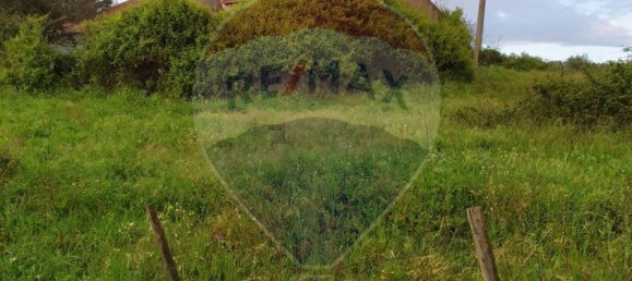 Grundstück in Tomar, Portugal 2760m², Nr. 71235 4