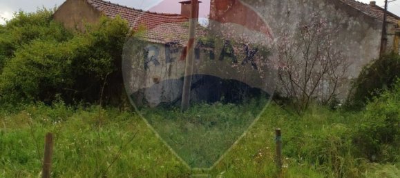 Grundstück in Tomar, Portugal 2760m², Nr. 71235 3