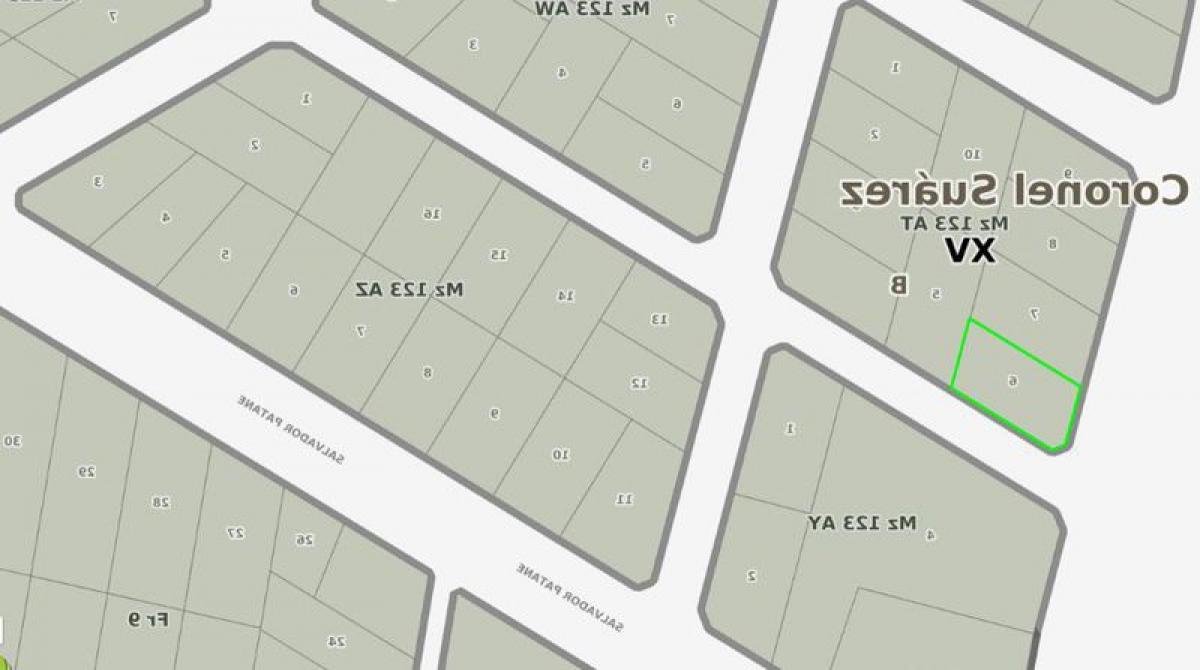 Grundstück in Coronel Suarez, Argentina, Nr. 50463