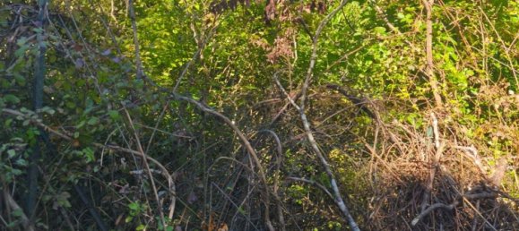 Дом с 5 спальнями в Априкале, Италия № 319769 21