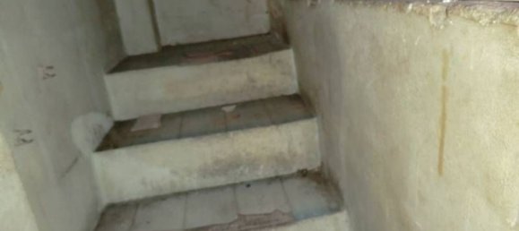 Propriété commerciale à Alicante, Spain 185m² No. 20464 5