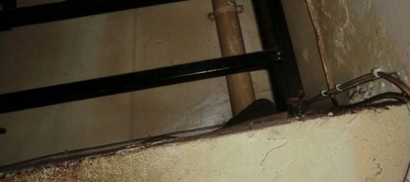 Propriété commerciale à Alicante, Spain 185m² No. 20464 4