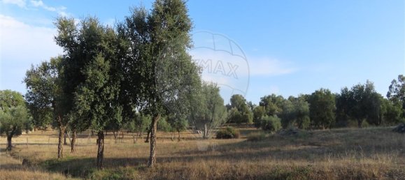 9 bedrooms House in Sao Miguel de Acha, Portugal No. 69913 12