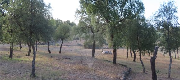 9 bedrooms House in Sao Miguel de Acha, Portugal No. 69913 25