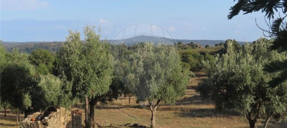 9 bedrooms House in Sao Miguel de Acha, Portugal No. 69913 5