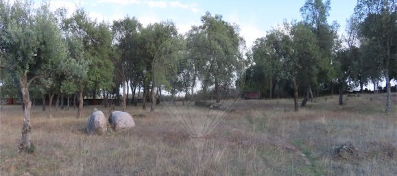 9 bedrooms House in Sao Miguel de Acha, Portugal No. 69913 17