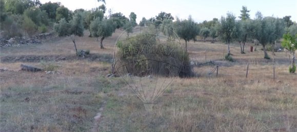 9 bedrooms House in Sao Miguel de Acha, Portugal No. 69913 19