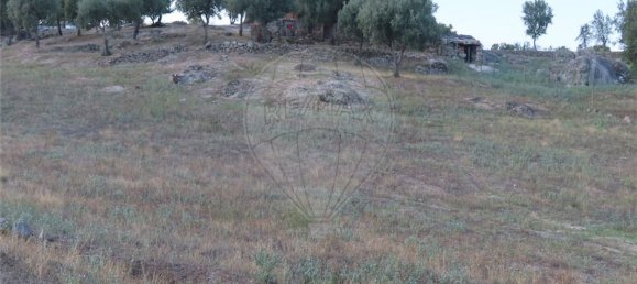 9 bedrooms House in Sao Miguel de Acha, Portugal No. 69913 13