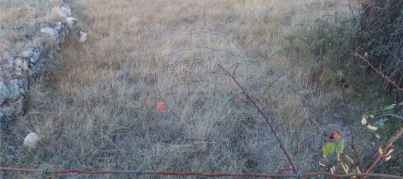 9 bedrooms House in Sao Miguel de Acha, Portugal No. 69913 15