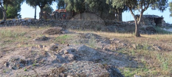 9 bedrooms House in Sao Miguel de Acha, Portugal No. 69913 11