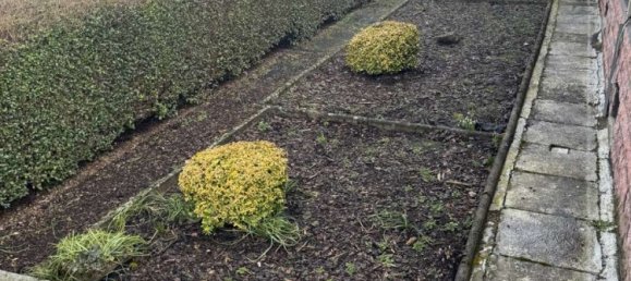 2 bedrooms Bungalow in Alzey-Worms, Germany No. 144528 10