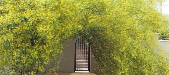 4 bedrooms Villa in Ciudad Quesada, Spain No. 184781 3