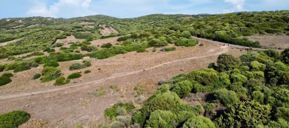 Terreno en Trinità d'Agultu e Vignola, Italy 90000 m² No. 276132 5