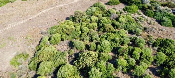 Terreno en Trinità d'Agultu e Vignola, Italy 90000 m² No. 276132 4