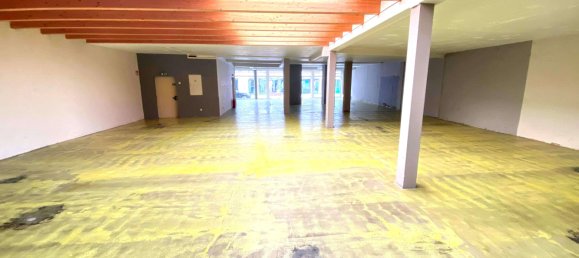 595m² Building in Hildesheim, Germany No. 161367 4