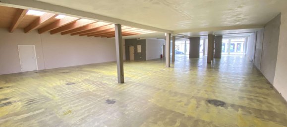 595m² Building in Hildesheim, Germany No. 161367 5