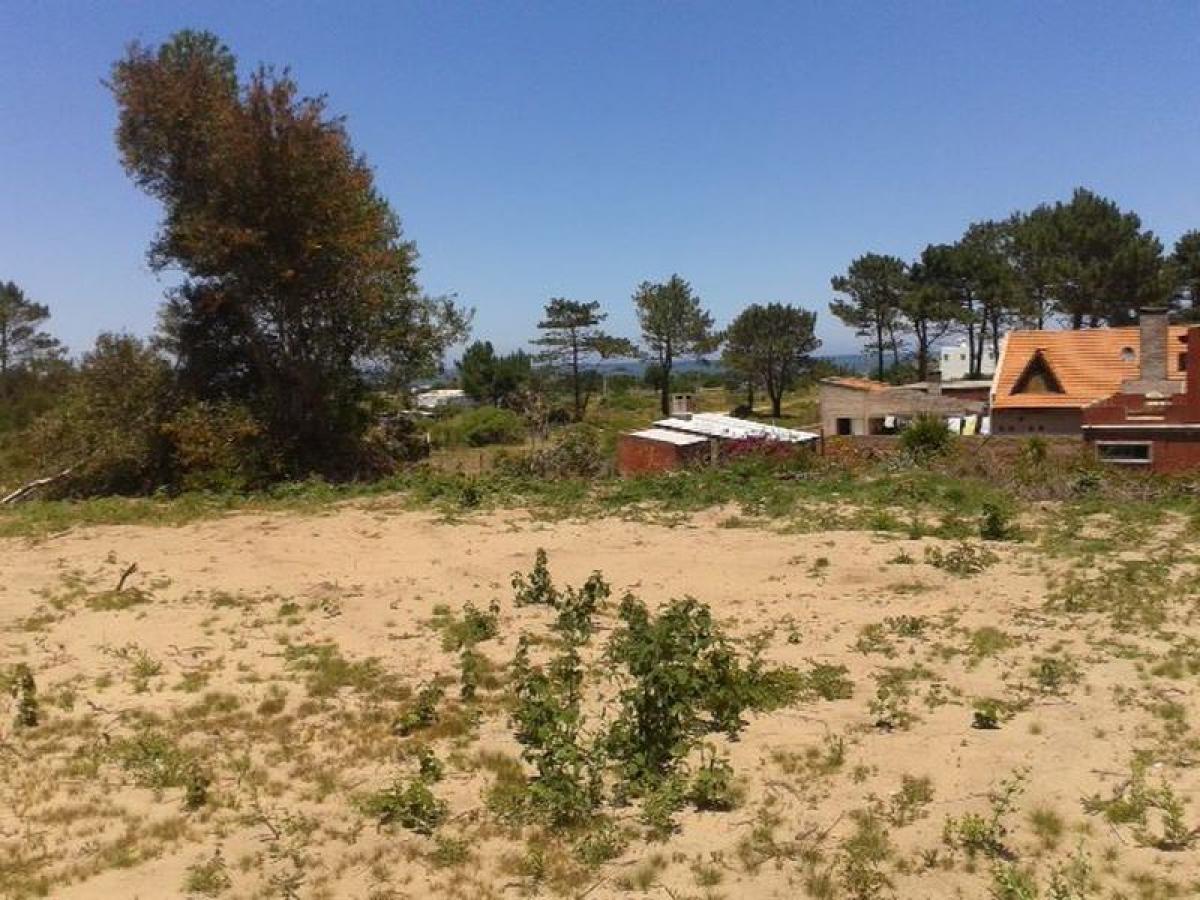  Land in Maldonado, Uruguay No. 14728