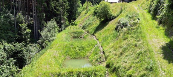 Casa de 7 habitaciónes en Deutschfeistritz, Austria No. 213798 7