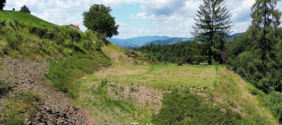 Casa de 7 habitaciónes en Deutschfeistritz, Austria No. 213798 8