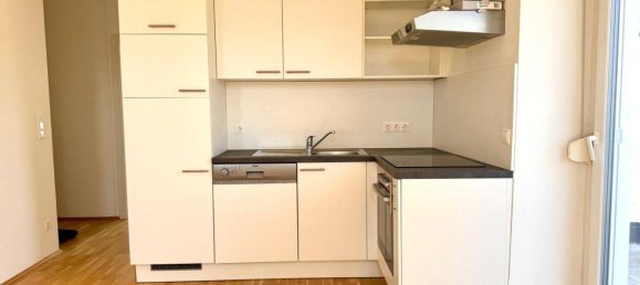 2 rooms Apartment in Ries, Austria No. 202557 5