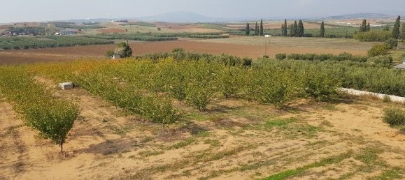 6 غرف نوم عقار تجاري في Chalkidiki, Greece رقم 4499 11