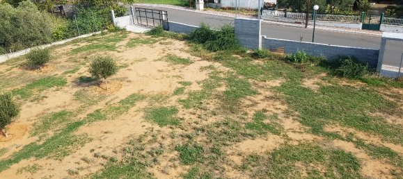 6 غرف نوم عقار تجاري في Chalkidiki, Greece رقم 4499 9