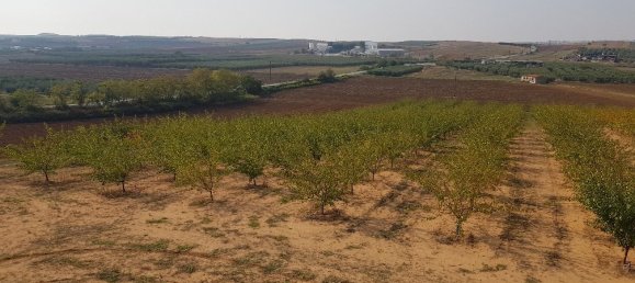 6 غرف نوم عقار تجاري في Chalkidiki, Greece رقم 4499 10