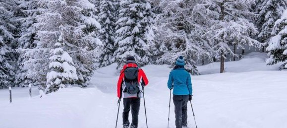Casa de 6 habitaciónes en Albeck, Austria No. 178478 31