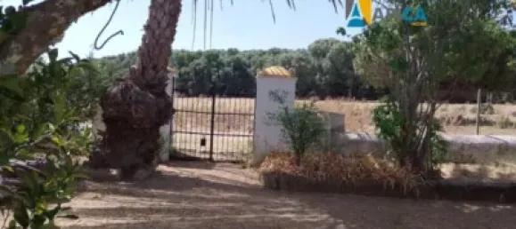 2 chambres Maison à Vejer de la Frontera, Spain No. 170621 9