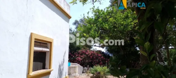 2 chambres Maison à Vejer de la Frontera, Spain No. 170621 31