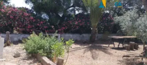 2 chambres Maison à Vejer de la Frontera, Spain No. 170621 3