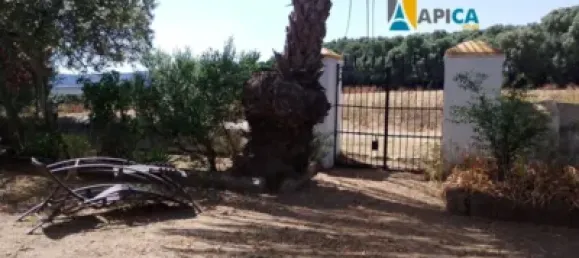 2 chambres Maison à Vejer de la Frontera, Spain No. 170621 5