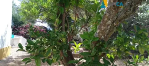 2 chambres Maison à Vejer de la Frontera, Spain No. 170621 6