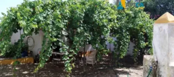 2 chambres Maison à Vejer de la Frontera, Spain No. 170621 33