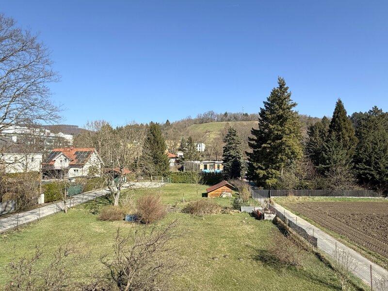 9 rooms Land in Klosterneuburg, Austria No. 164763