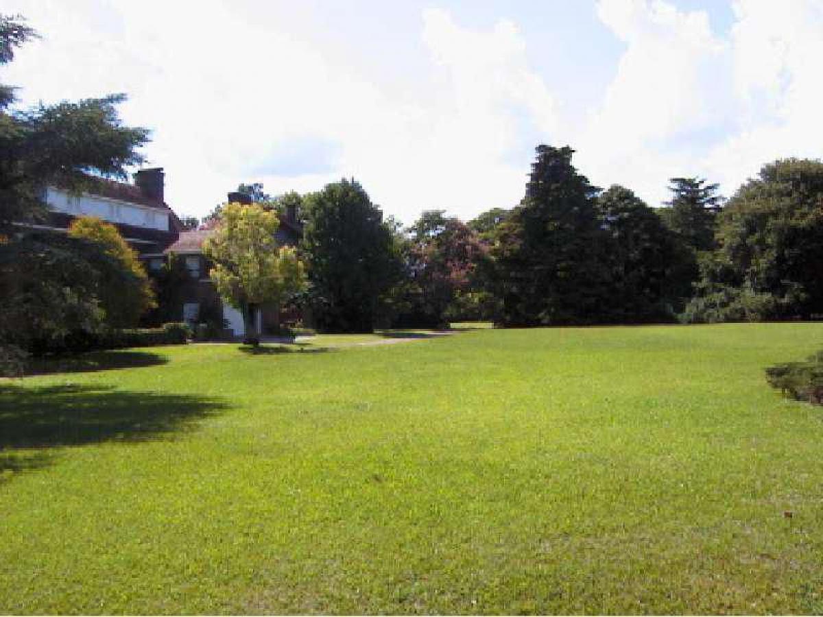  Land in San Fernando, Argentina No. 49538