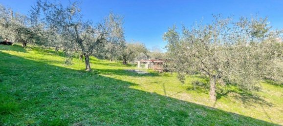 2000m² Land in Formello, Italy No. 154170 4