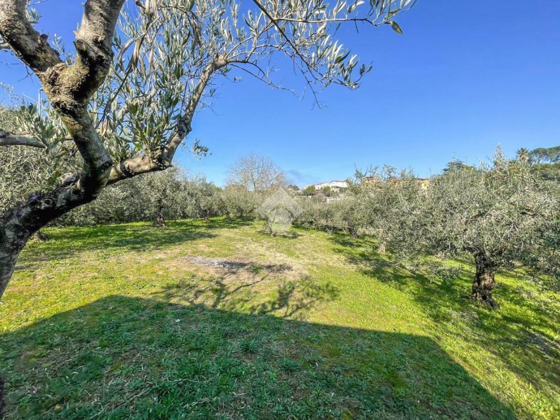 2000m² Land in Formello, Italy No. 154170