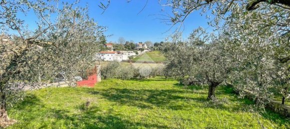 2000m² Land in Formello, Italy No. 154170 9